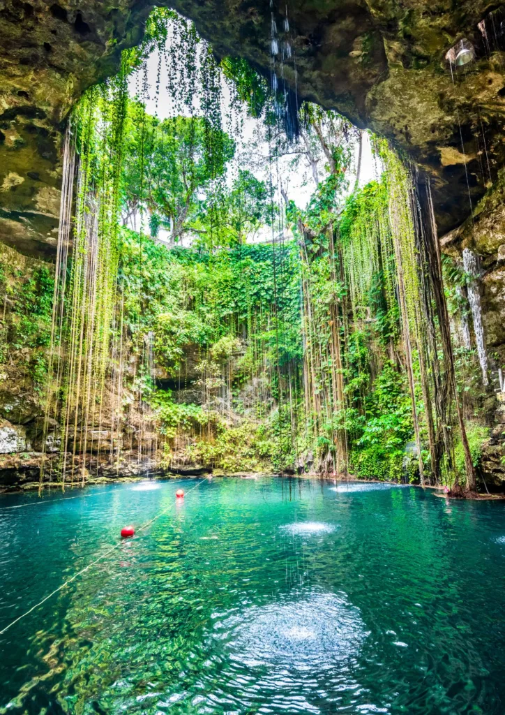 NATURALEZA